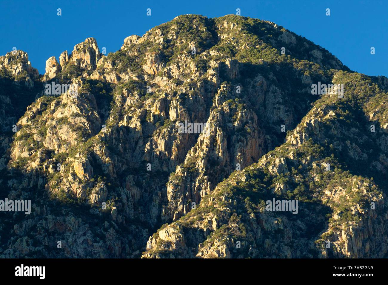 Santa Rita Mountains vom Madera Canyon, Coronado National Forest, Arizona Stockfoto