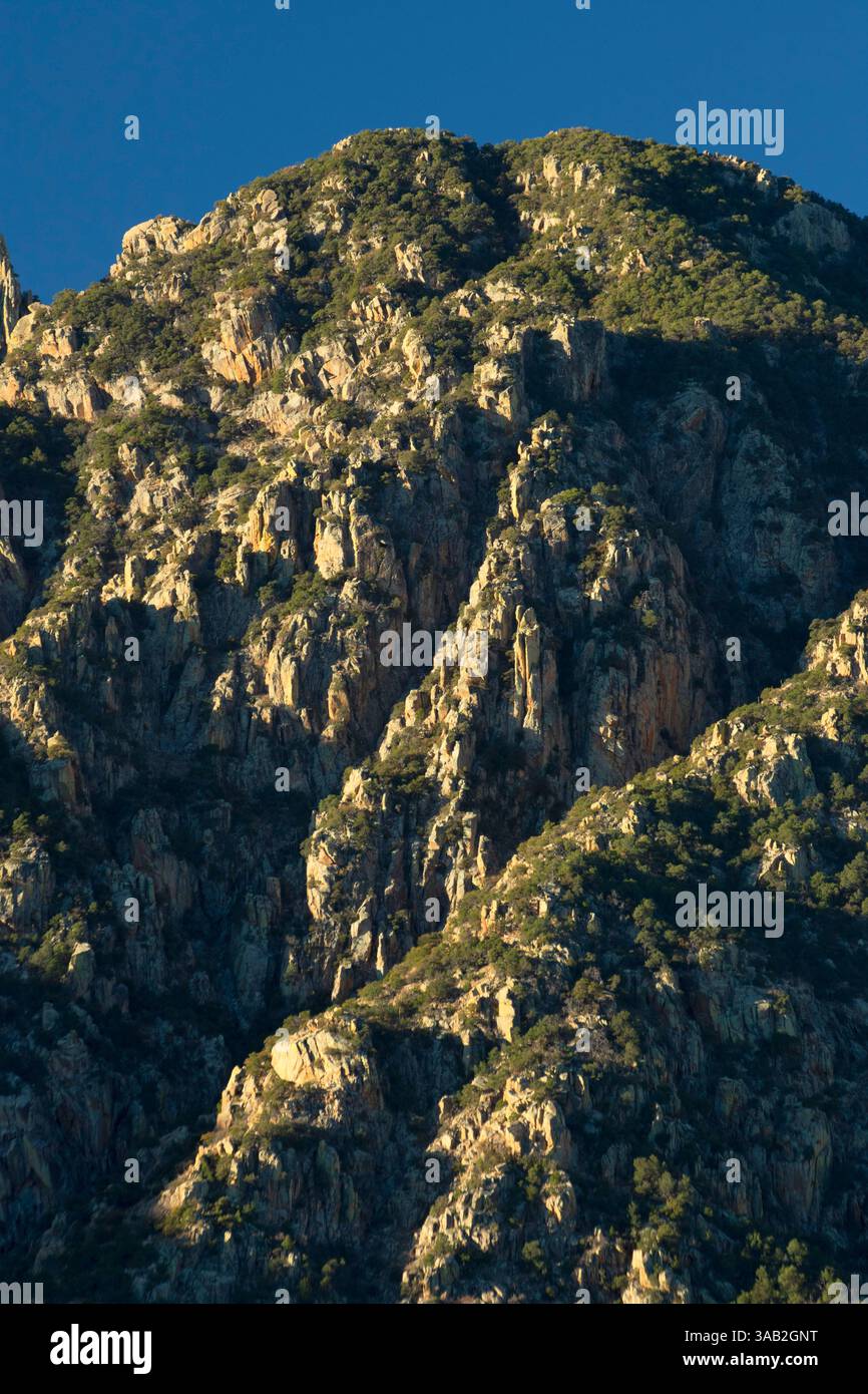 Santa Rita Mountains vom Madera Canyon, Coronado National Forest, Arizona Stockfoto
