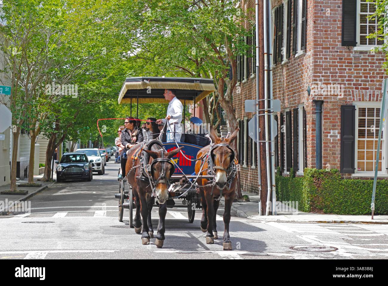 Charleston South Carolina SC Architektur historische Altstadt Touristen auf einer Kutschfahrt mit Reiseleiter auf der Stadtstraße Stockfoto