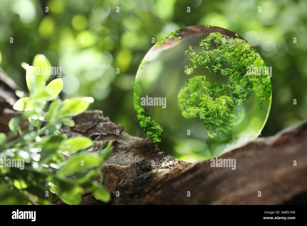 Erdkugel in Glaskugel auf Holzholz im Wald. Konzept des Umweltschutzes Stockfoto
