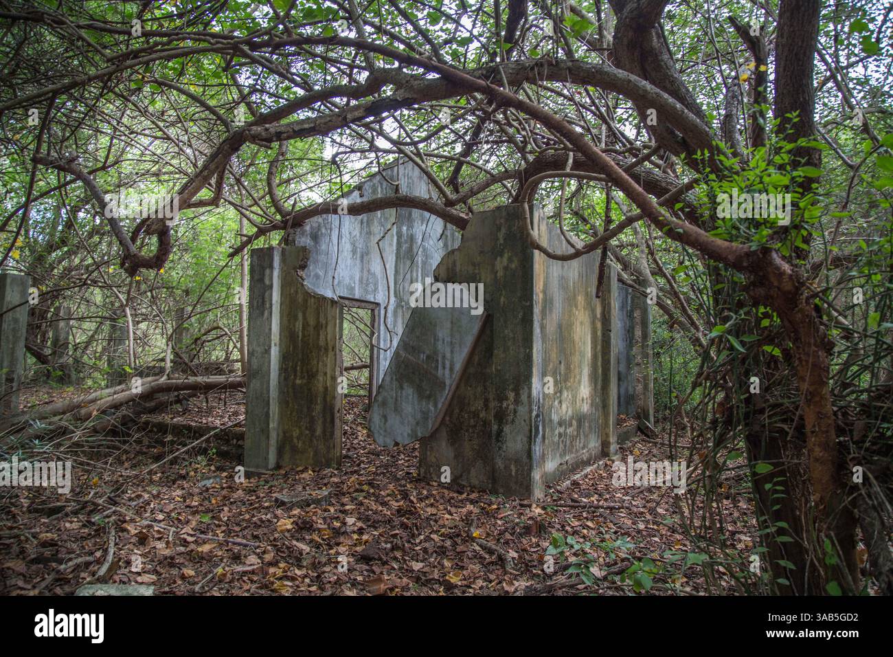 14. April 2015 – Halbinsel Jaffna, Sri Lanka – Tamil-VERTRIEBENE kehren zurück, um ihre Häuser verwüstet und durchwühlt zu finden. Fenster, Türen und Dächer wurden von ihren Häusern in Vasavilan East geplündert. Der Sri-lankische Bürgerkrieg begann am 23. Juli 1983 und war ein Aufstand gegen die Regierung der Liberation Tigers of Tamil Eelam (LTTE oder Tamil Tigers), die für einen unabhängigen tamilischen Staat Tamil Eelam kämpften. Nach einem 26-jährigen Krieg und schätzungsweise 40.000 zivilen Toten besiegte die srilankische Armee am 2009. Mai die Tamil Tigers. Viele Tamilen wurden während des 26-jährigen Krieges vertrieben, ihre ehemaligen Profis Stockfoto