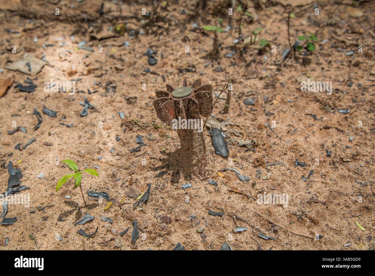 14. April 2015 - Jaffna-Halbinsel, Sri Lanka - in Valikamam wartet ein nicht explodierter Panzer. Der Sri-lankische Bürgerkrieg begann am 23. Juli 1983 und war ein Aufstand gegen die Regierung der Liberation Tigers of Tamil Eelam (LTTE oder Tamil Tigers), die für einen unabhängigen tamilischen Staat Tamil Eelam kämpften. Nach einem 26-jährigen Krieg und schätzungsweise 40.000 zivilen Toten besiegte die srilankische Armee am 2009. Mai die Tamil Tigers. Viele Tamilen wurden während des 26-jährigen Krieges vertrieben, ihr einst vielversprechendes Land verwüstete über die Jahre und das srilankische Militär nutzte das Land für landwirtschaftliche Zwecke Stockfoto