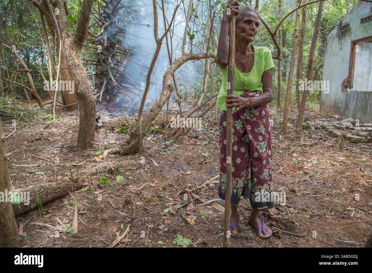 14. April 2015: Halbinsel Jaffna, Sri Lanka - Padma, eine Kriegswitwe, die auch ihre Kinder durch den Krieg verloren hat, steht vor ihrem ehemaligen Haus im Bezirk Valikammam. Der Sri-lankische Bürgerkrieg begann am 23. Juli 1983 und war ein Aufstand gegen die Regierung der Liberation Tigers of Tamil Eelam (LTTE oder Tamil Tigers), die für einen unabhängigen tamilischen Staat Tamil Eelam kämpften. Nach einem 26-jährigen Krieg und schätzungsweise 40.000 zivilen Toten besiegte die srilankische Armee am 2009. Mai die Tamil Tigers. Viele Tamilen wurden während des 26-jährigen Krieges vertrieben, ihre einst versprechenden Ländereien verwüsteten das Ja Stockfoto