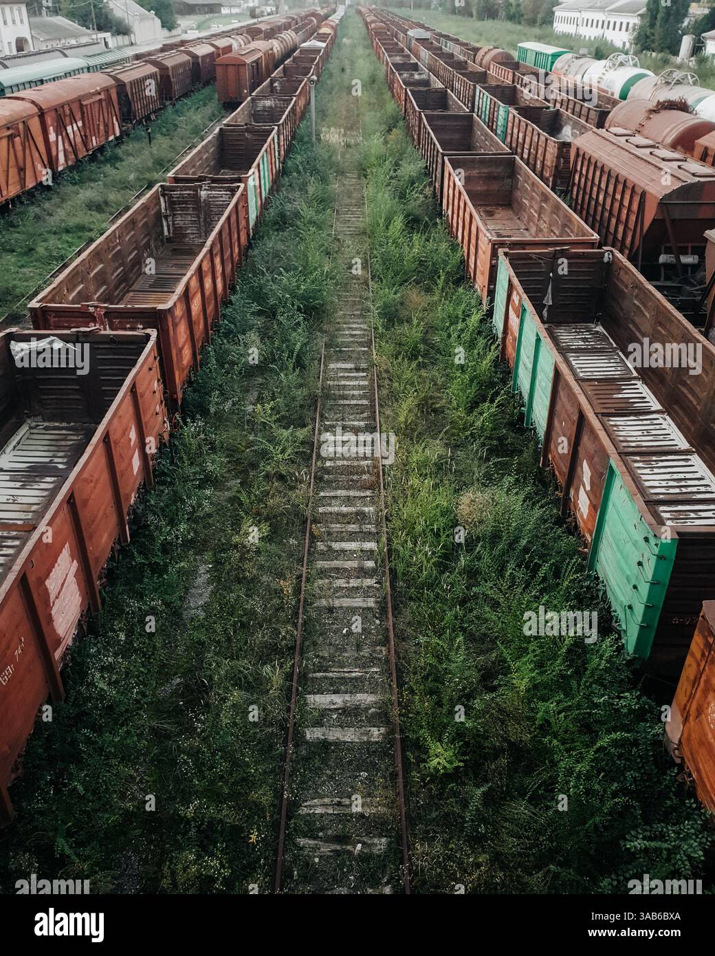 Aus der Vogelperspektive des verlassenen Bahnhofs: Überwucherte Bahngleise und rostige Güterzüge. Leeres, bewachsenes Eisenbahngleis zwischen stationären Triebwagen. Stockfoto