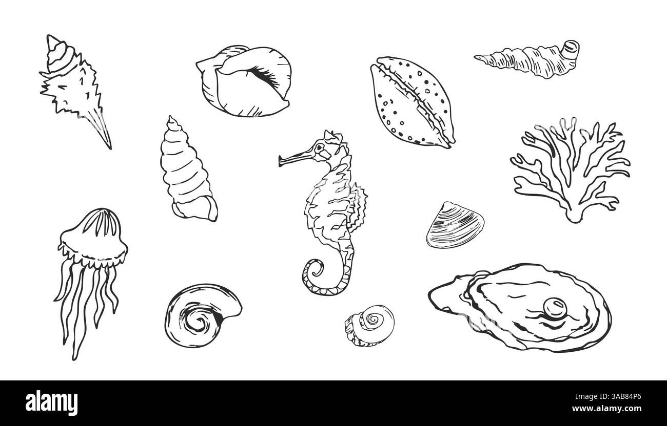 Muschelskizze Ozean Leben Hand gezeichnete Illustration. Skizzieren Sie Elemente des modernen Stils, des Sommers, des Urlaubs, des Stranddesigns. Korallen und Algen, Seesterne. . Vektorabbildung Stock Vektor