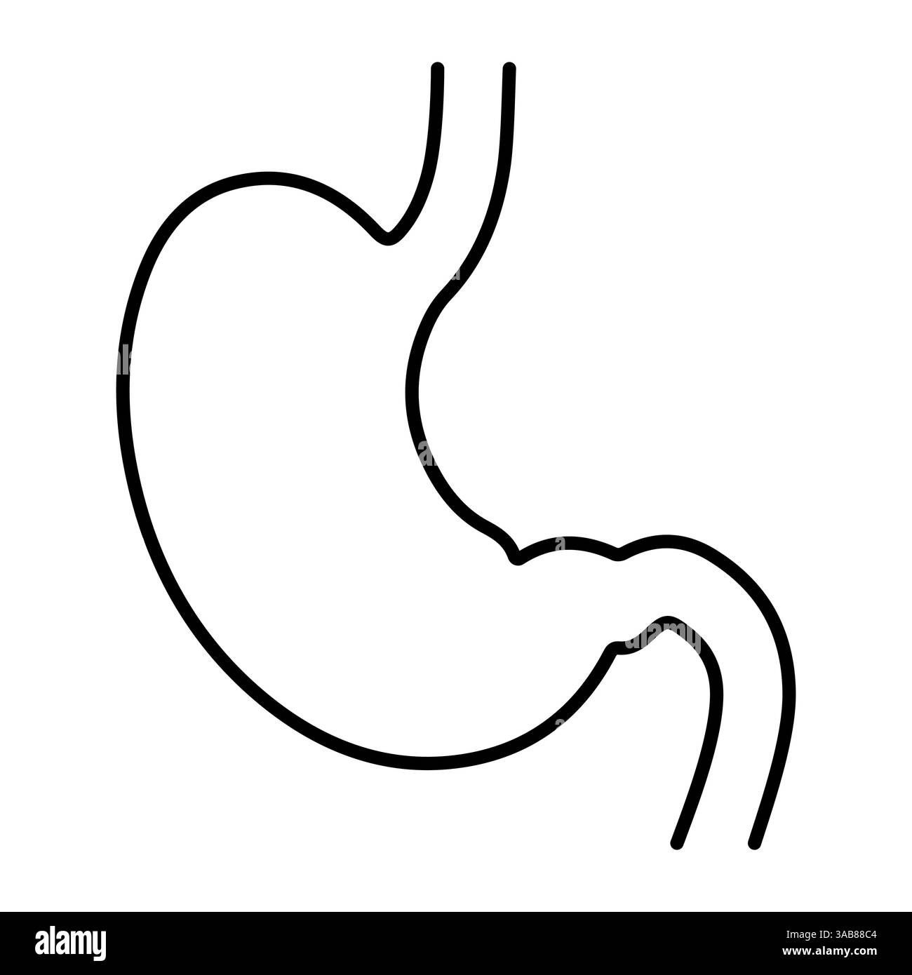 Einfache Magenumrissillustration für die Gesundheitsversorgung, Anatomie Gastrointestinaltrakt Stock Vektor
