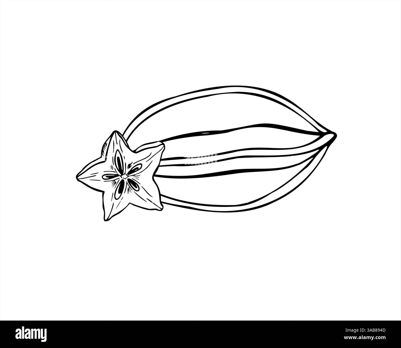Tropische asiatische Karambola Vektor minimalistische schwarze Tinte Illustration. Einfarbige Ganzsternfrucht und sternförmige Schnittzeichnung Stock Vektor