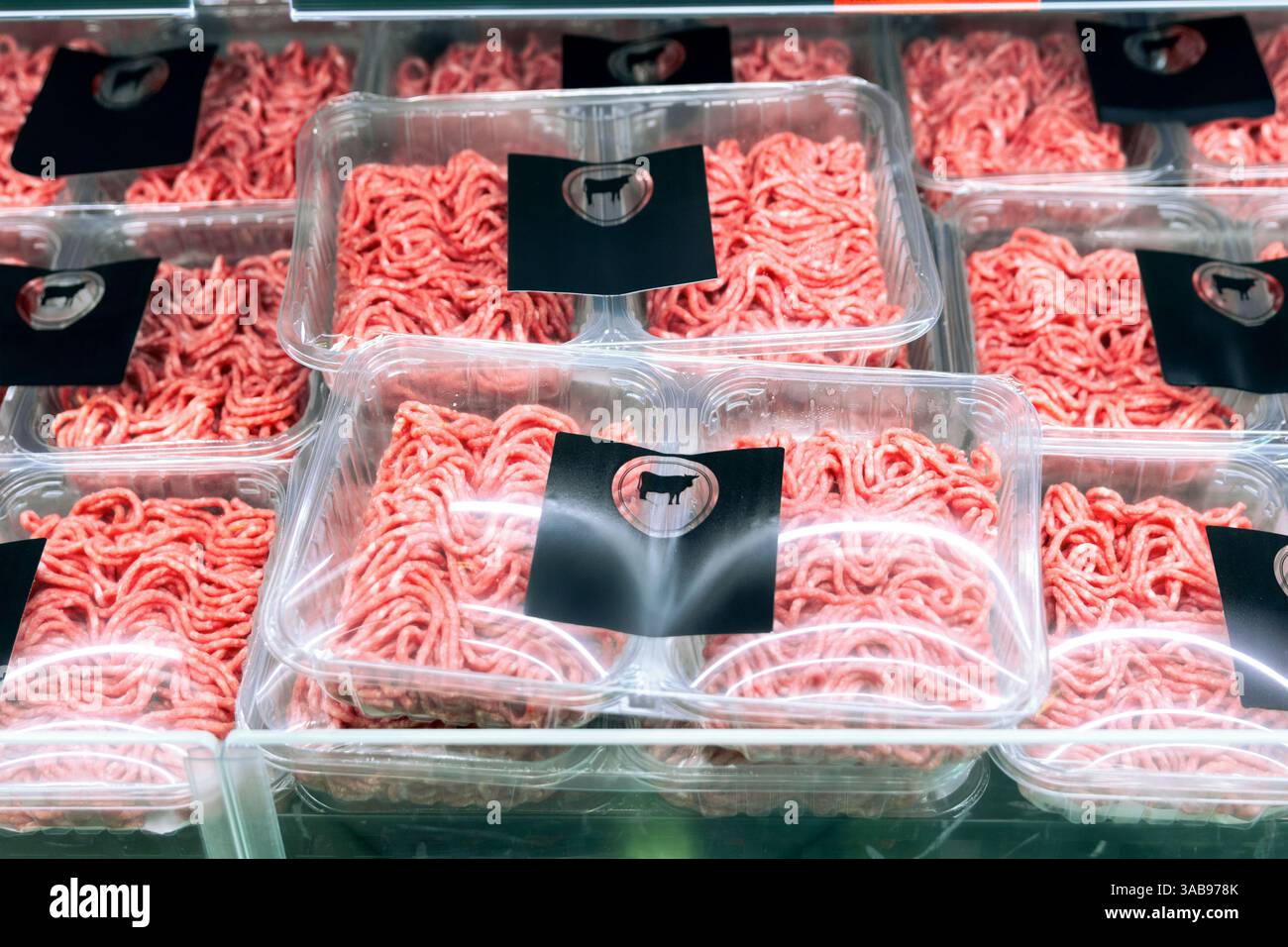 Ordentlich verpackte Hackfleischschalen befinden sich in einem gekühlten Supermarktregal. Jedes Tablett ist in transparenten Kunststoff verpackt und mit einem Kuhsilhou gekennzeichnet Stockfoto