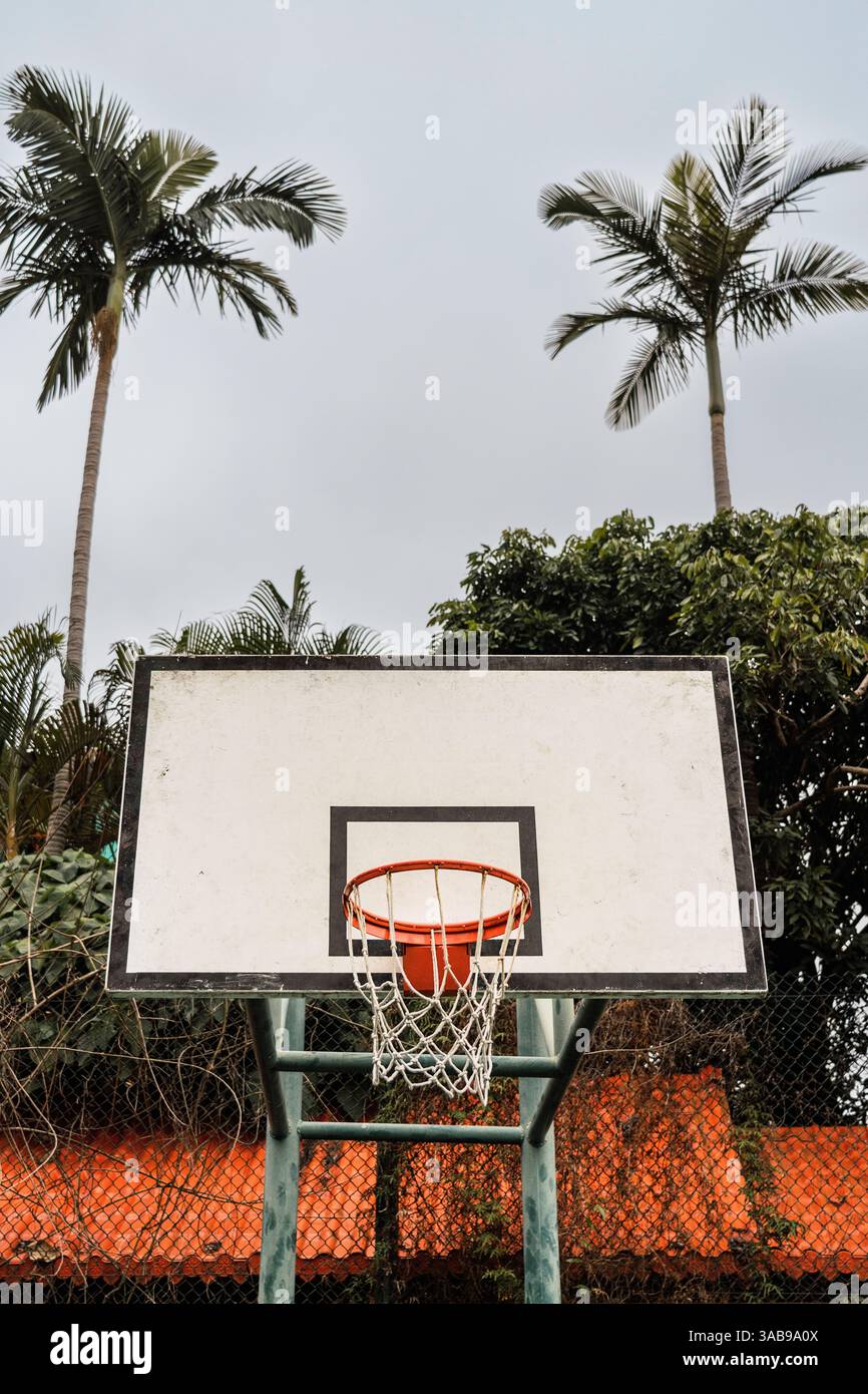 Ein Basketballkorb im Freien vor üppigen Palmen und bewölktem Himmel bietet eine ruhige, tropische Sportlandschaft. Stockfoto