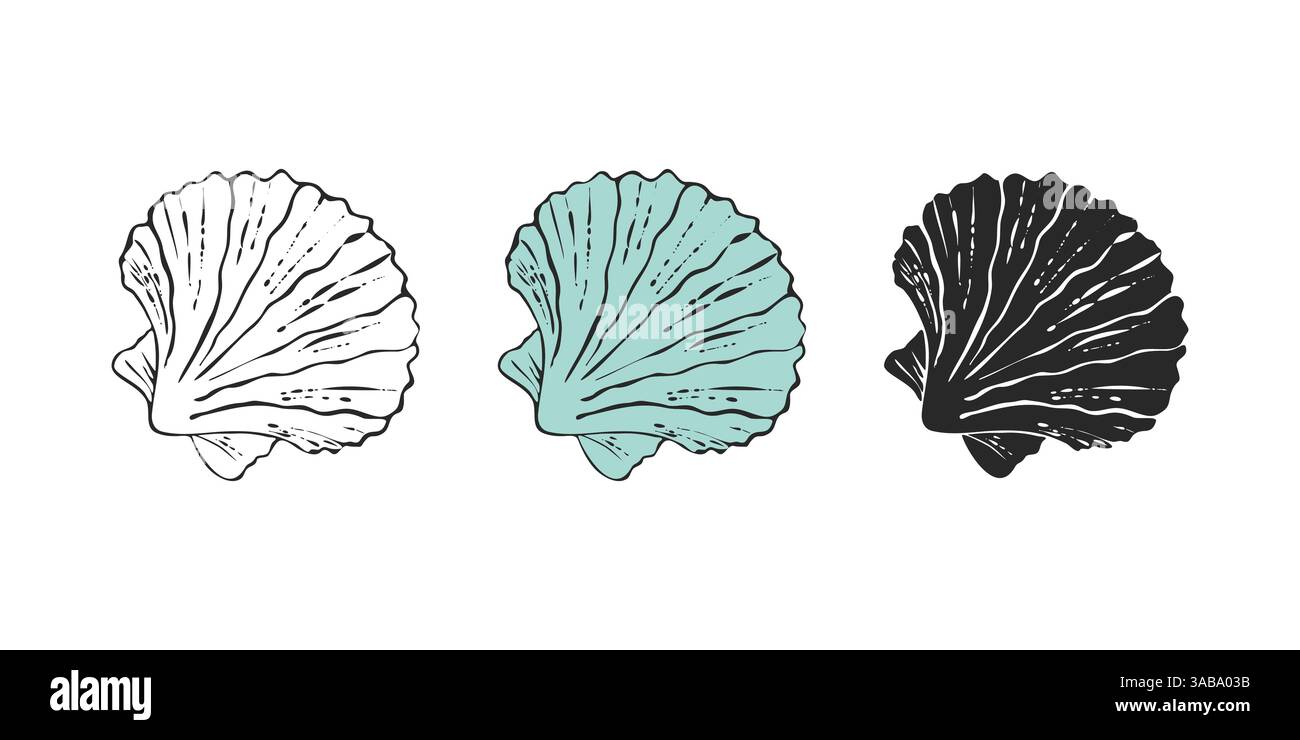 Muschel Pectinidae Jakobsmuschel, Skizze handgezeichnet. Setzen Sie Muschelschalen von Meeresbewohnern, Muscheln. Symbolgruppe. Vektorabbildung Stock Vektor