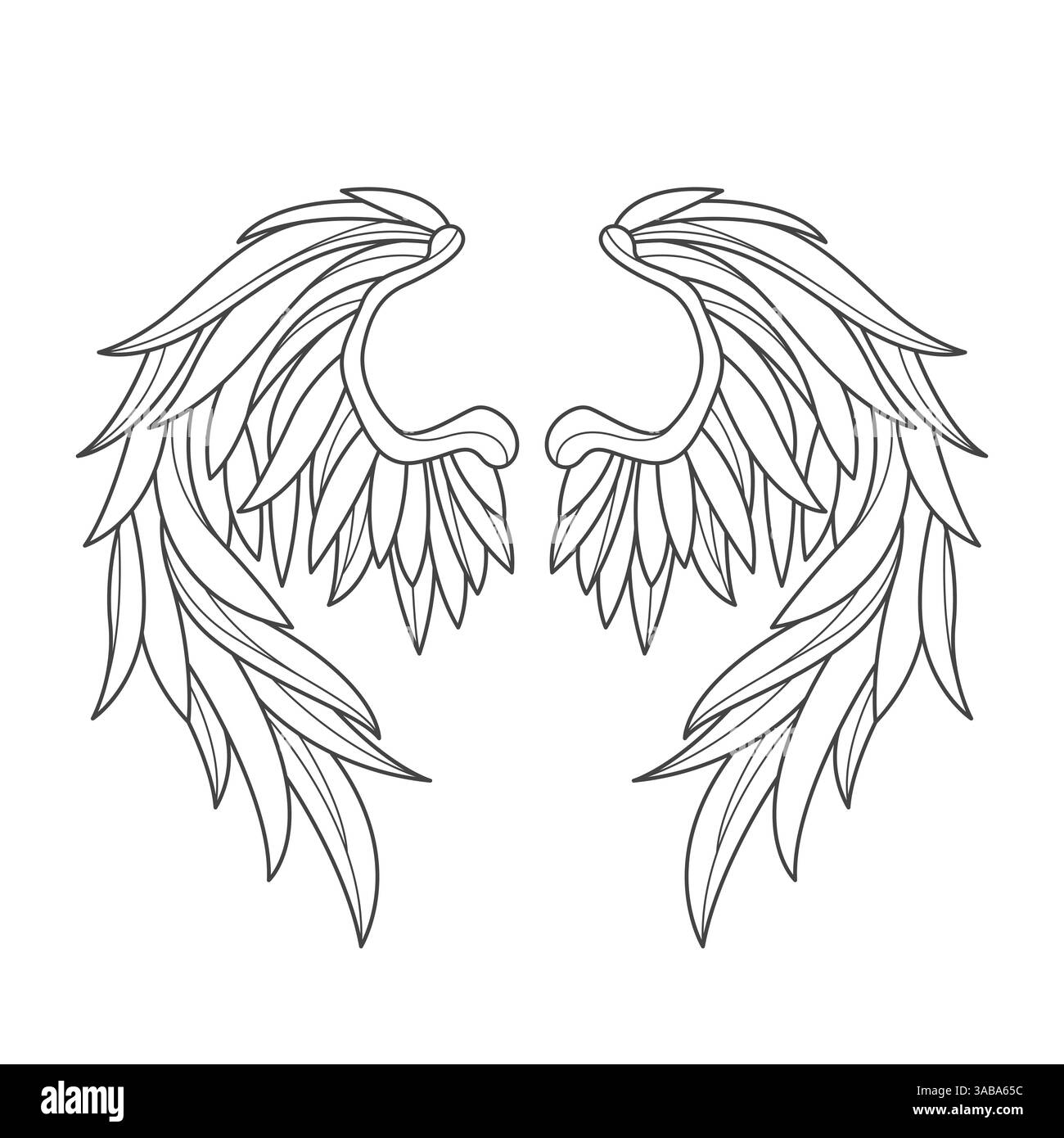 Engelsflügel oder Vogelfederkontur. Vektorumrissenelement für heraldisches mittelalterliches Zeichen. Formzeichnung für tierisches Element. Flugsymbol. Stock Vektor