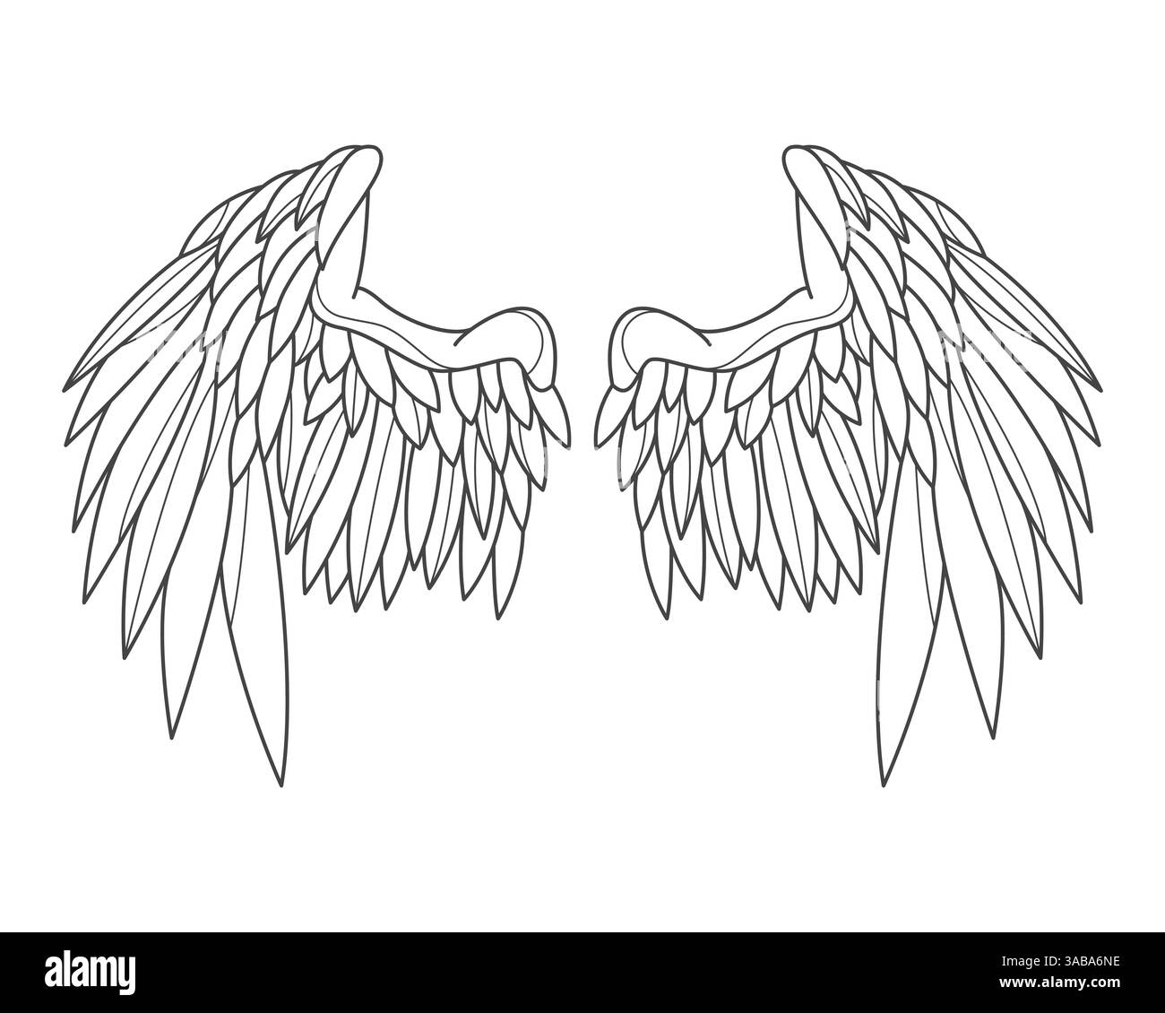 Engelsflügelkontur oder Engelsfedern-Kontur. Vektorelement für heiliges oder göttliches, himmlisches oder spirituelles Zeichen. Phönix oder Falkenfeder. Stock Vektor