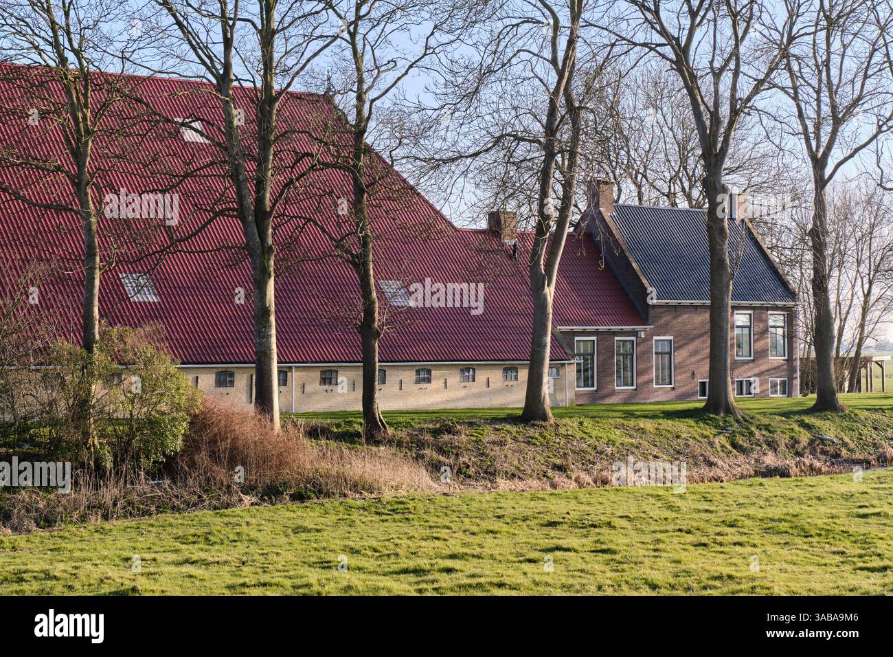 Ein klassisches friesisches EK-hals-Romp (Kopf-hals-Körper) Bauernhaus in der Nähe von Swichum, Niederlande, mit einem großen roten Dach, Ziegelmauern und ländlicher Umgebung Stockfoto