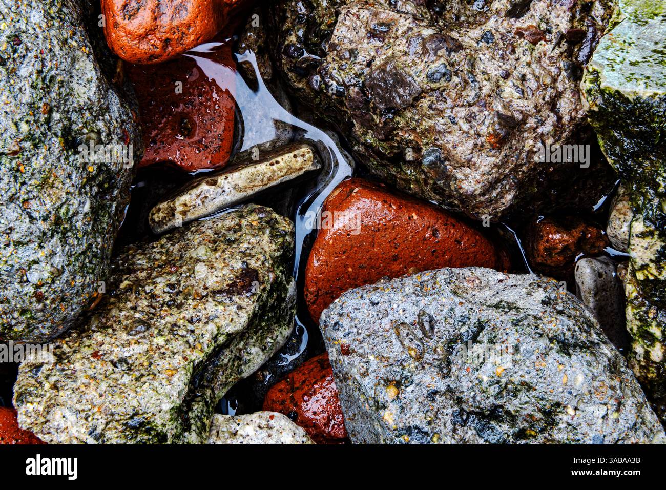 Nahaufnahme von Wet Rocks and Pebbles. Bunte Steine und Wasserreflexion. Nahaufnahme von gemischten Wet Rocks und Stream Stockfoto