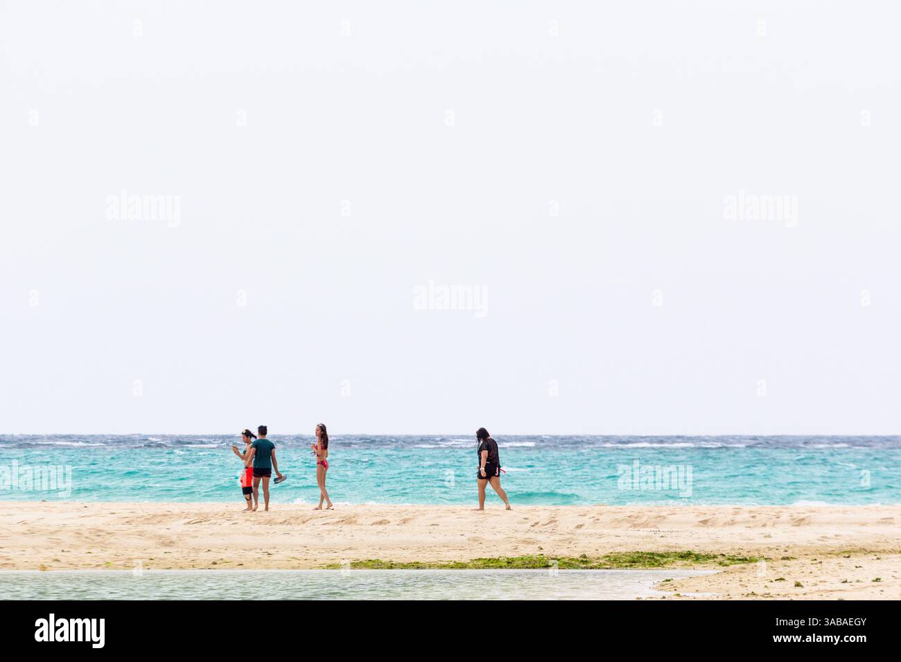 Touristen genießen den pudrigen weißen Sand und das klare Wasser von White Island, einer malerischen Sandbank direkt vor der Küste von Camiguin auf den Philippinen Stockfoto