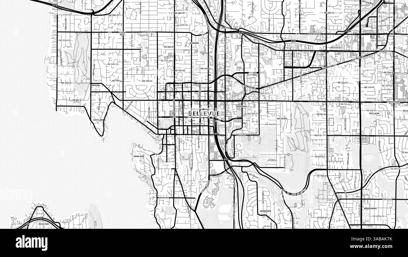 Minimalistische Bellevue Street Map mit Labels und Stadtvierteln mit vielen Details für Stadtstraßen, Wege und Kreise. Stockfoto