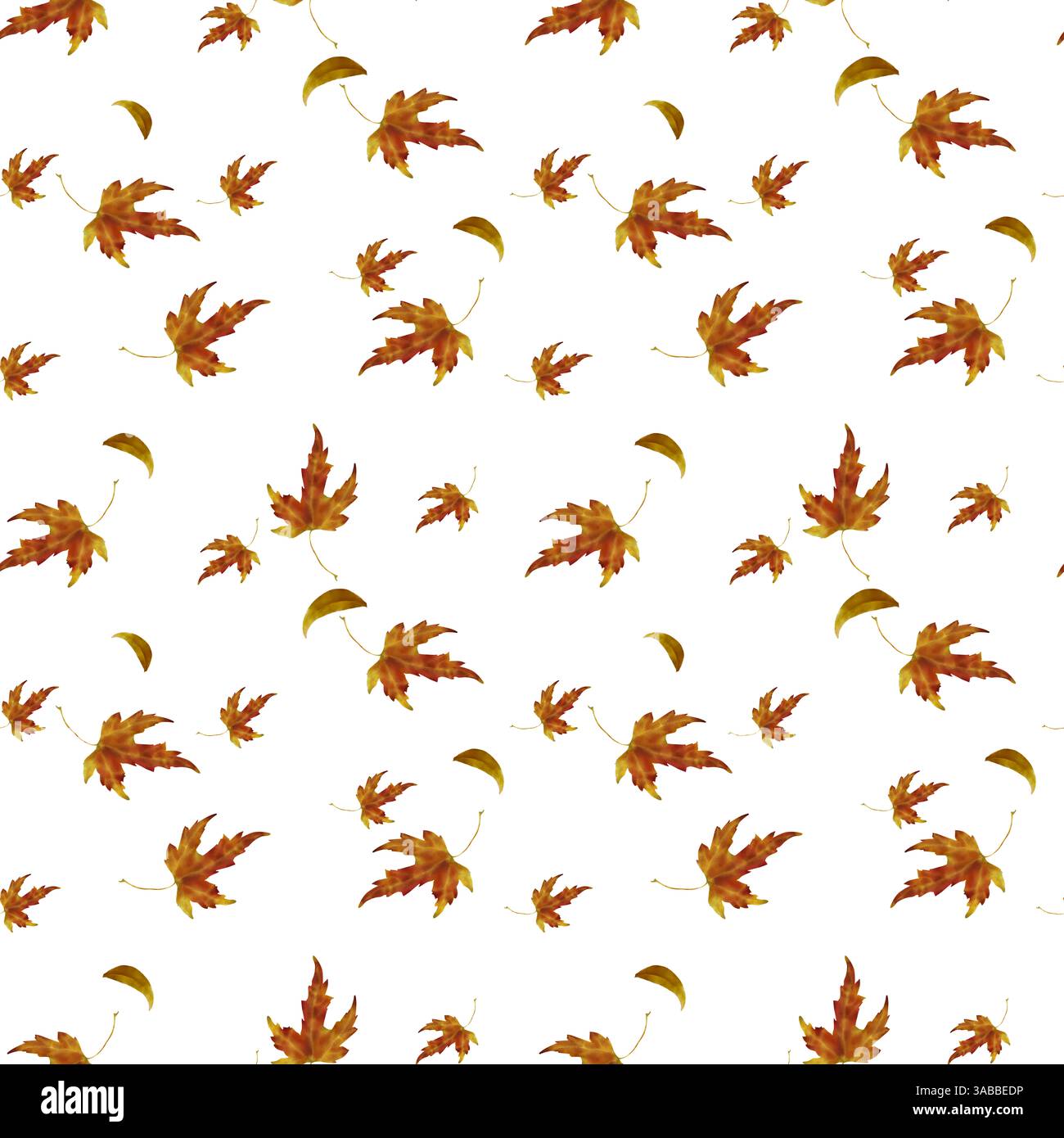 Herbstlaub. Gelbe und rote Blätter von Ahorn und Linde. Nahtlose Aquarellillustration im digitalen Stil. Set wunderschöner Blätter isoliert auf weiß Stockfoto