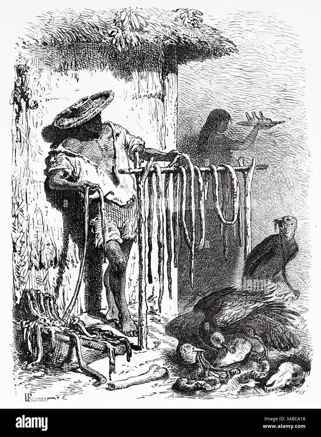 Ein Metzger in St. Martha, Magdalena, Kolumbien. Südamerika. Zeichnung von Alphonse de Neuville (1835–1885) Reise nach New Grenada, 1869 von Charles Saffray (1833–1890) Le Tour du Monde 1872 Stockfoto