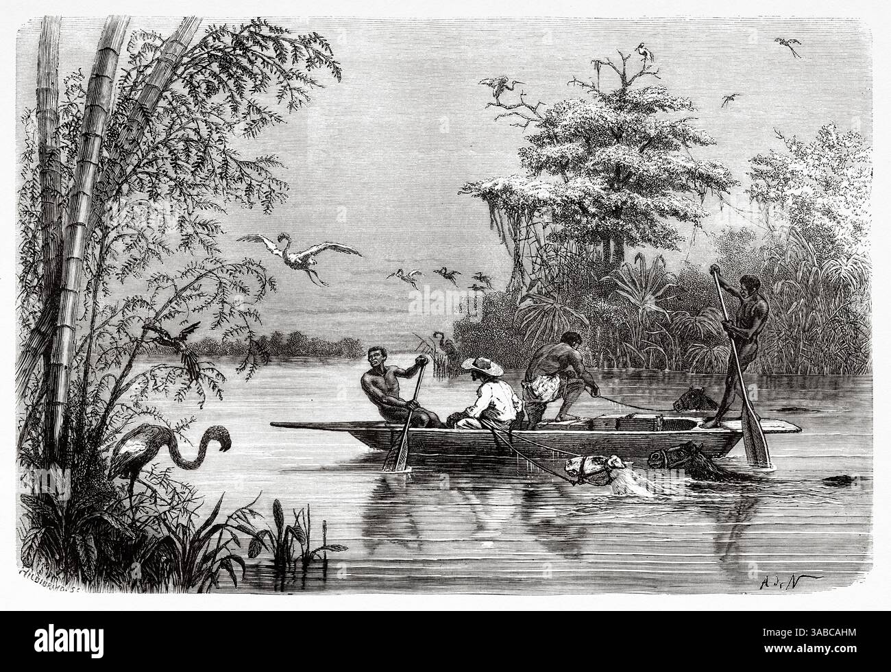 Eingeborene transportieren Pferde auf dem Magdalena-Fluss, Kolumbien. Südamerika. Zeichnung von Alphonse de Neuville (1835–1885) Reise nach New Grenada, 1869 von Charles Saffray (1833–1890) Le Tour du Monde 1872 Stockfoto