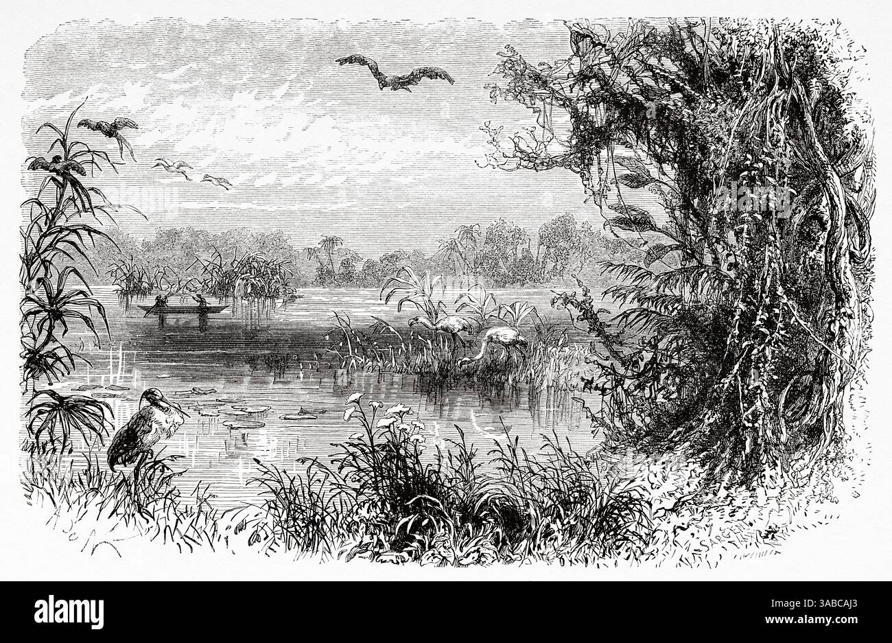 Eingeborene fischen in einem Boot auf den Inseln des Flusses Magdalena, Kolumbien. Südamerika. Zeichnung von Alphonse de Neuville (1835–1885) Reise nach New Grenada, 1869 von Charles Saffray (1833–1890) Le Tour du Monde 1872 Stockfoto