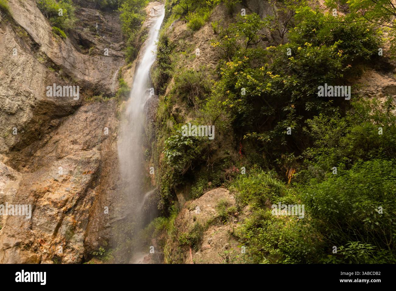Ein Wasserfall, der in der Sommersaison von einer üppigen grünen Vegetation umgeben ist Stockfoto