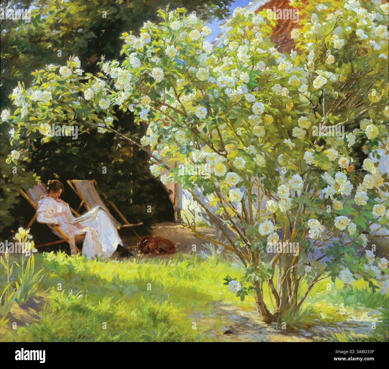 Roses, oder die Frau des Künstlers im Garten in Skagen, 1883 (Gemälde) Kroyer, Peder Severin (1851–1909) Dänisch Stock Vektor