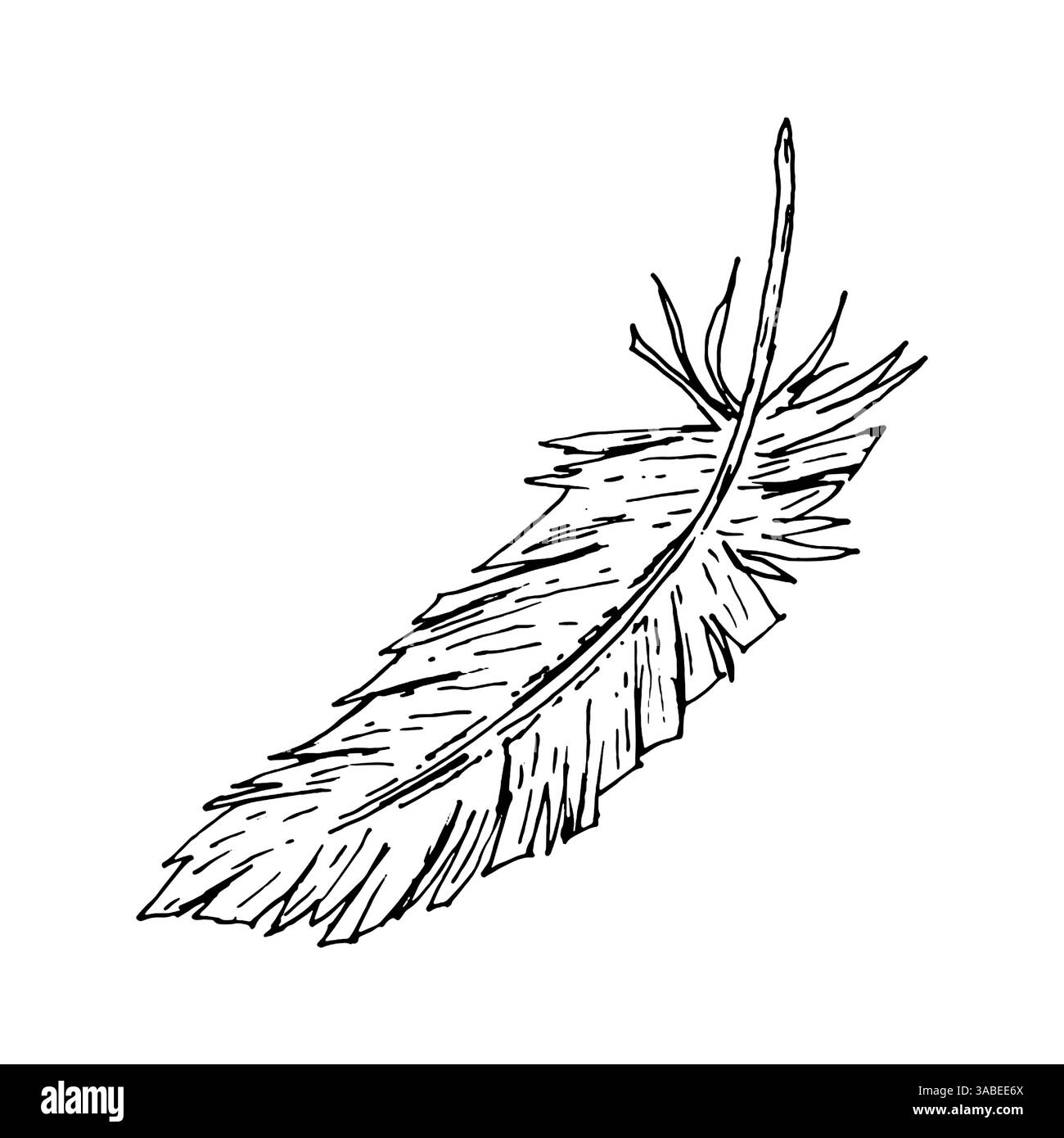 Handgezeichnete Tusche Illustration einer einzelnen Vogelfeder mit feiner Textur und unregelmäßigen Kanten. Einfarbige Linienart. Perfekt für Hochzeitspapiere Stock Vektor