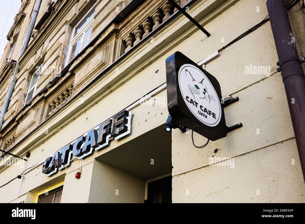 Lviv, Ukraine - 01. April 2025: Schild mit der Aufschrift „Cat Cafe“ an einer kunstvollen Gebäudefassade in Lviv, Ukraine Stockfoto