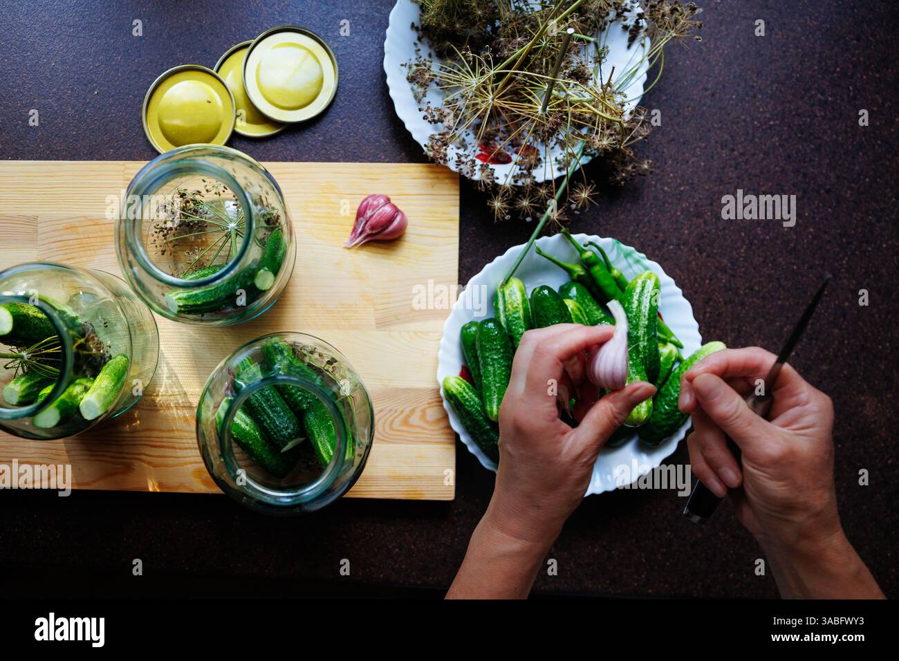Frische Gurken mit Dill und Knoblauch in Glasgläsern zu Hause konservieren Stockfoto