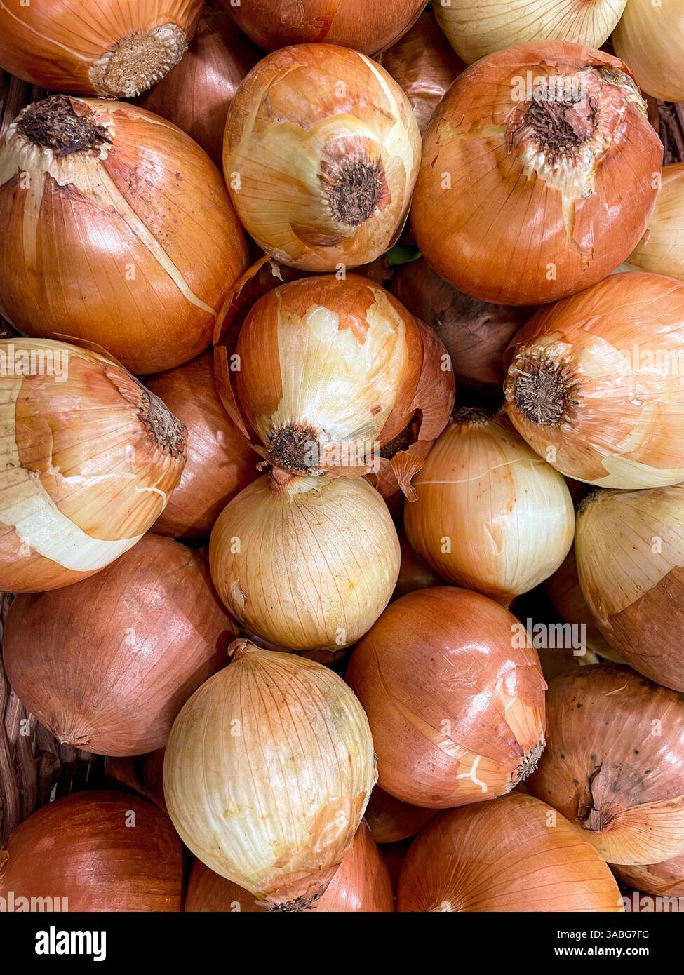Ein Haufen frischer Zwiebeln wird im Lebensmittelgeschäft als Lebensmittelhintergrund angezeigt - Smartphone-aufgenommenes Stockfoto