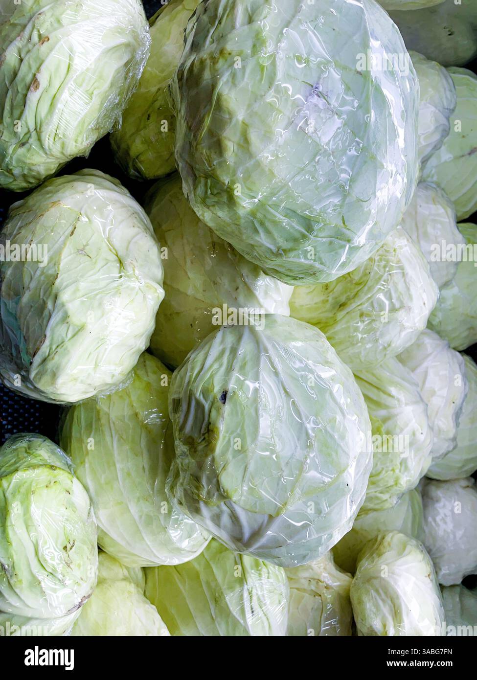 Ein Haufen frischer Kohl, verpackt in Kunststoff im Lebensmittelgeschäft - Smartphone-aufgenommenes Stockfoto