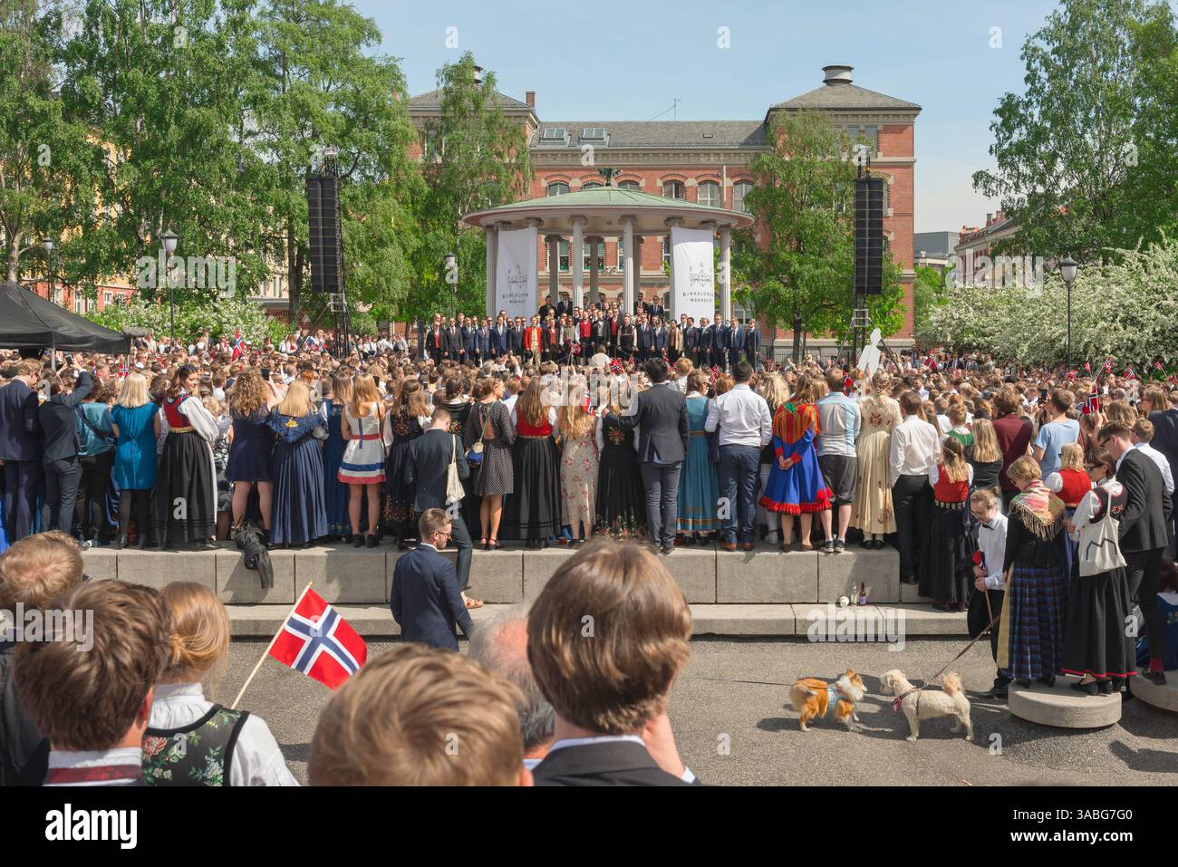 Norwegische Kultur, Rückansicht junger norwegischer Menschen, die während der Feierlichkeiten zum Nationalfeiertag am 17. Mai in Oslo, Norwegen, einem Chor lauschen. Stockfoto