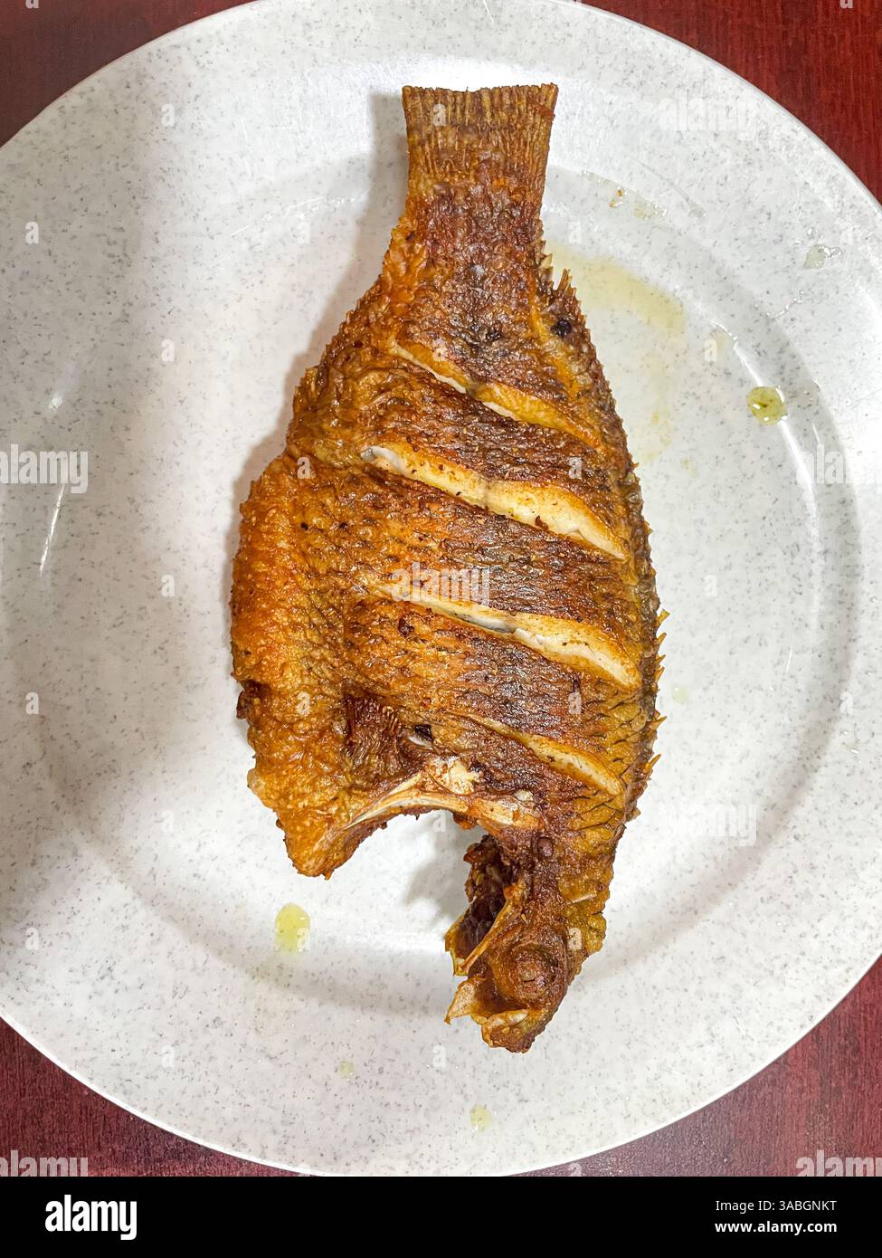 Gebratene Tilapia oder Nila Goreng serviert auf weißem Teller - Smartphone-aufgenommenes Stockfoto