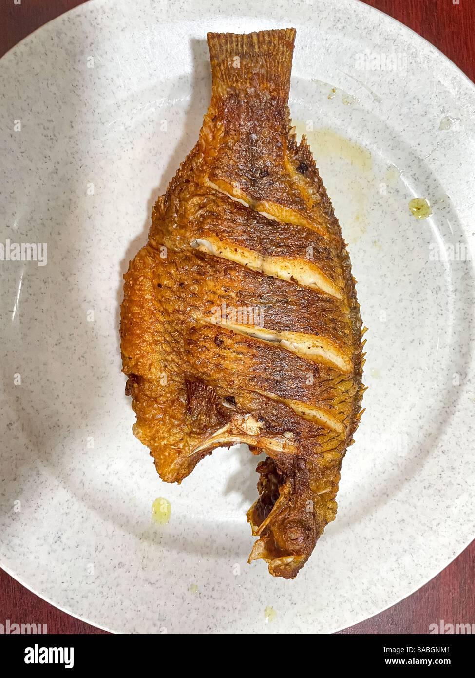 Gebratene Tilapia oder Nila Goreng serviert auf weißem Teller - Smartphone-aufgenommenes Stockfoto