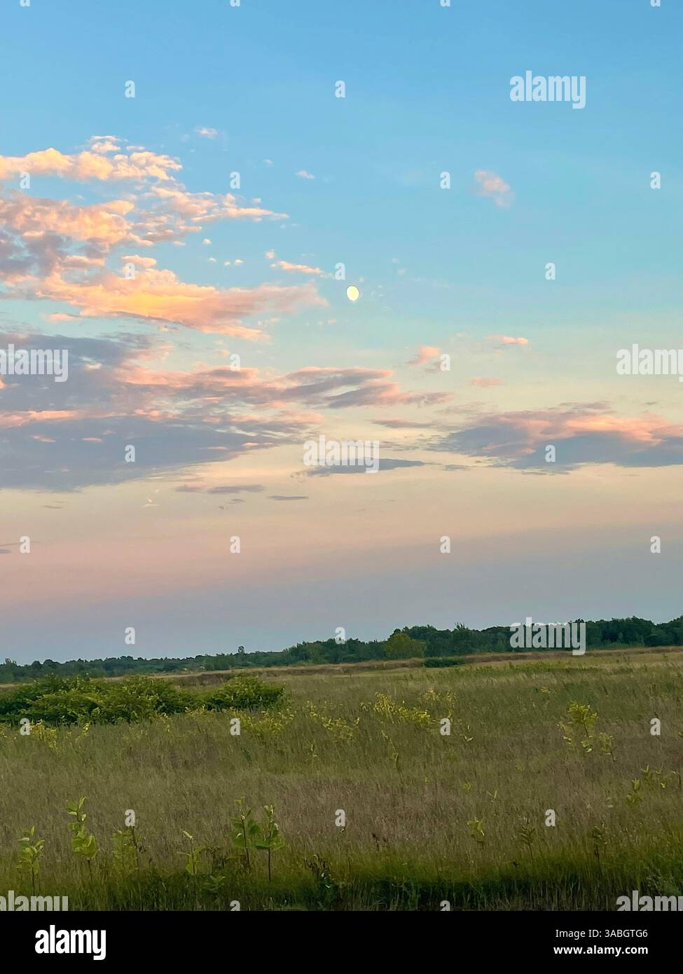 Malerisches offenes Feld bei Sonnenuntergang mit pastellfarbenen Wolken und dem Mond, der am Abendhimmel sichtbar ist. - Smartphone-aufgenommenes Stockfoto