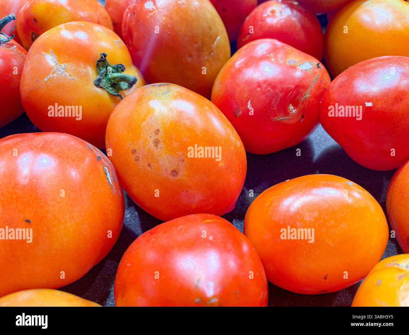 Blick von oben auf einen Haufen köstlicher frischer reifer Tomaten als Hintergrundtextur für Lebensmittel - Smartphone-aufgenommenes Stockfoto