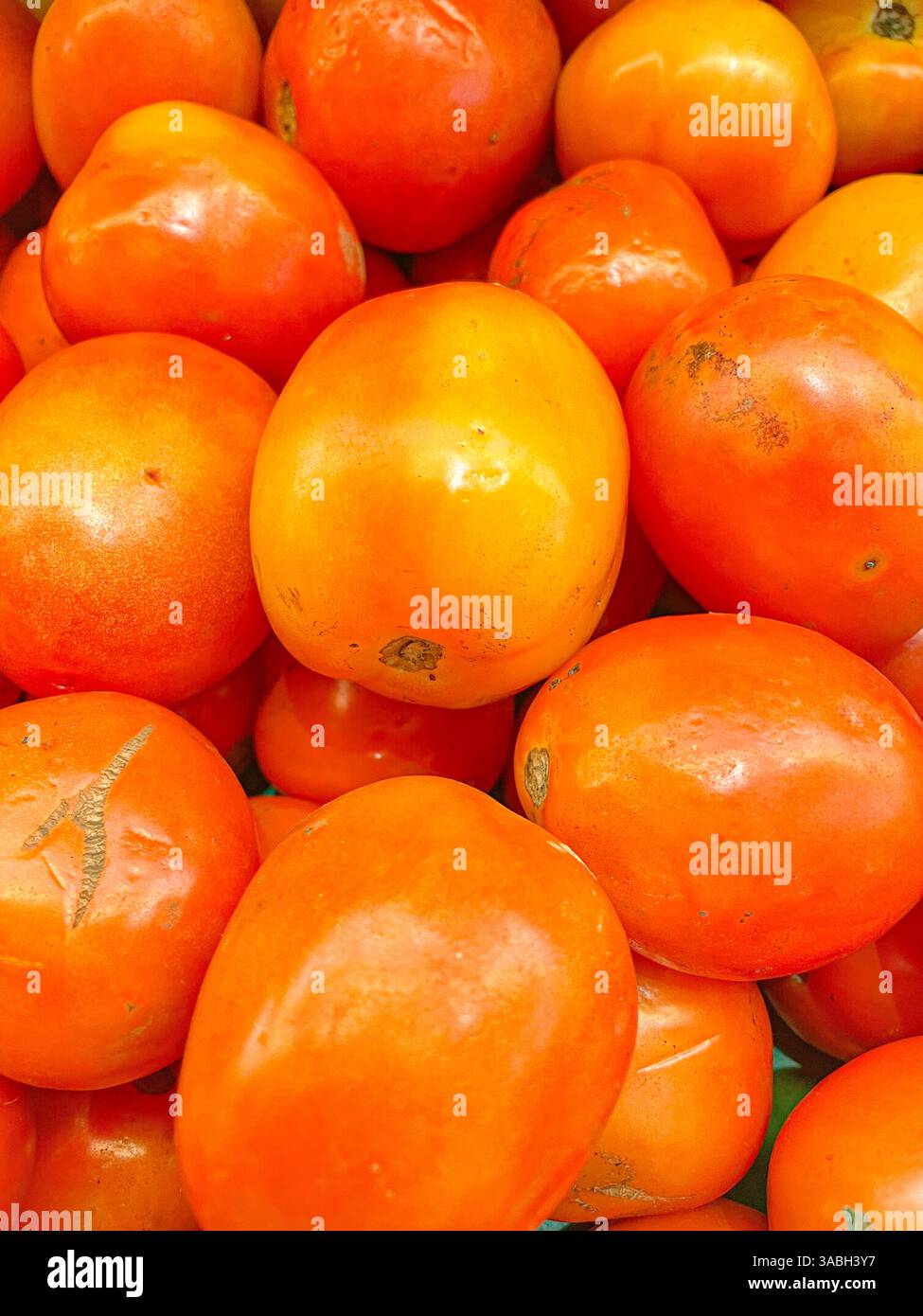 Blick von oben auf einen Haufen köstlicher frischer reifer Tomaten als Hintergrundtextur für Lebensmittel - Smartphone-aufgenommenes Stockfoto