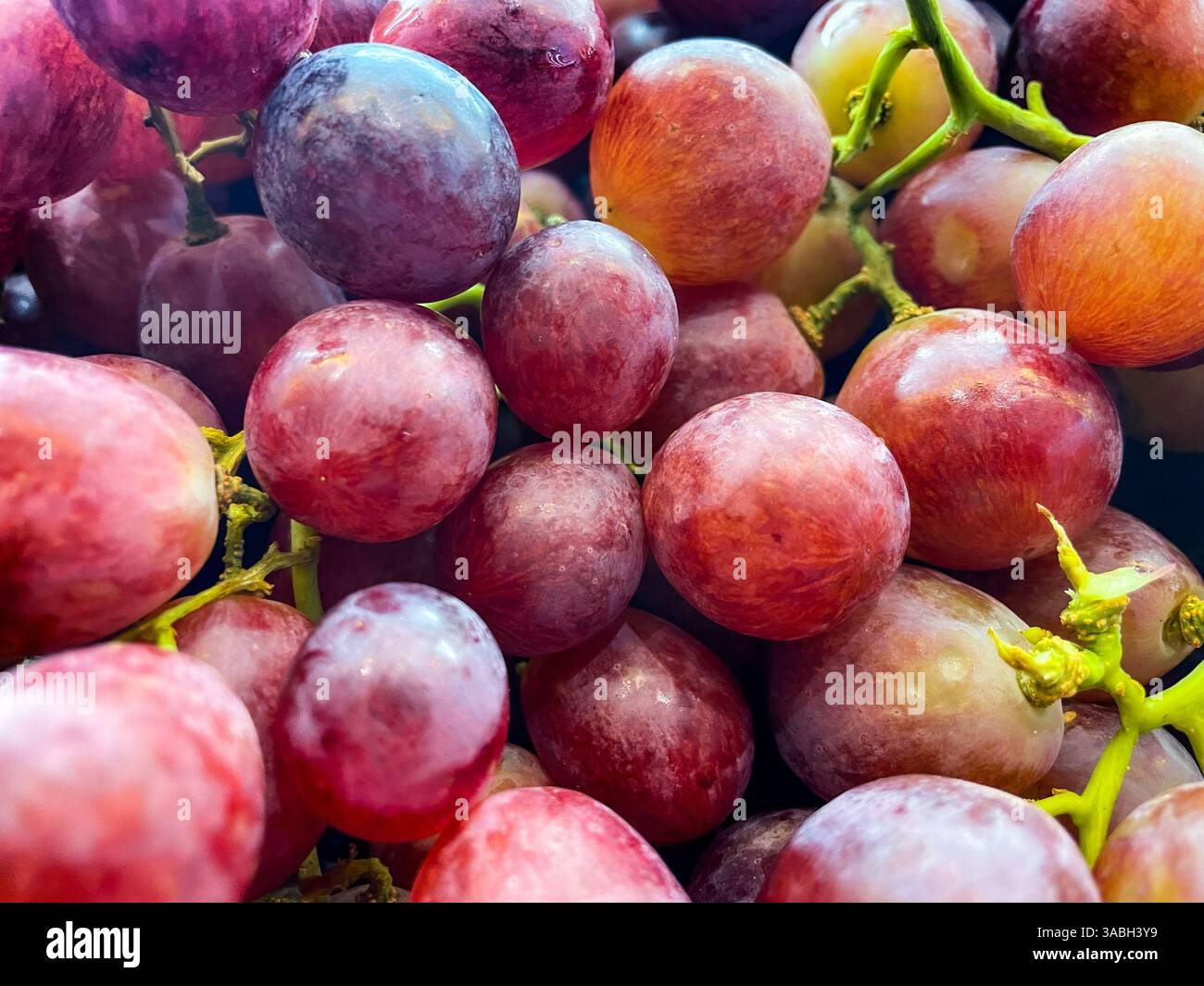 Blick von oben auf einen Haufen köstlicher frischer reifer Trauben als Hintergrundtextur für Lebensmittel - Smartphone-aufgenommenes Stockfoto