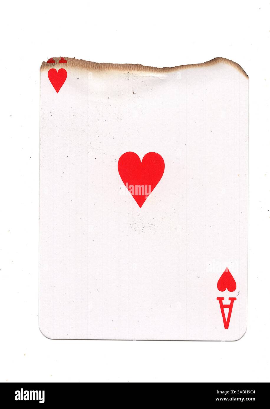 Eine teilweise verbrannte Spielkarte im Anzug der Herzen auf weißem Hintergrund. Stockfoto