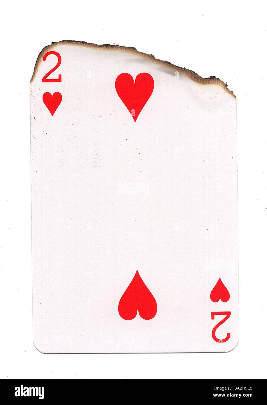 Eine teilweise verbrannte Spielkarte im Anzug der Herzen auf weißem Hintergrund. Stockfoto