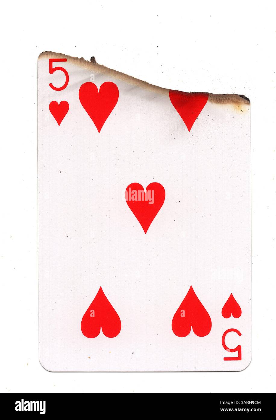 Eine teilweise verbrannte Spielkarte im Anzug der Herzen auf weißem Hintergrund. Stockfoto