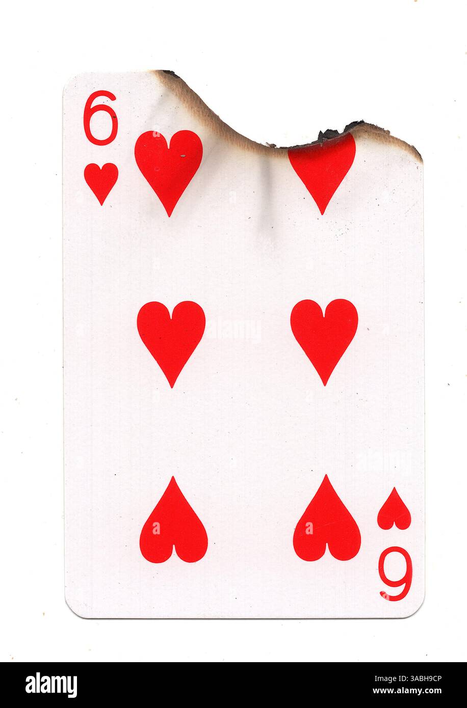 Eine teilweise verbrannte Spielkarte im Anzug der Herzen auf weißem Hintergrund. Stockfoto