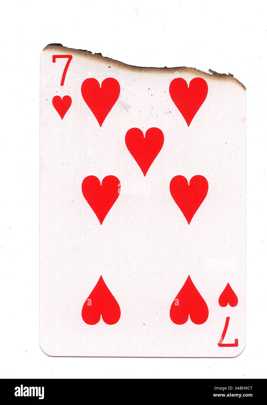 Eine teilweise verbrannte Spielkarte im Anzug der Herzen auf weißem Hintergrund. Stockfoto