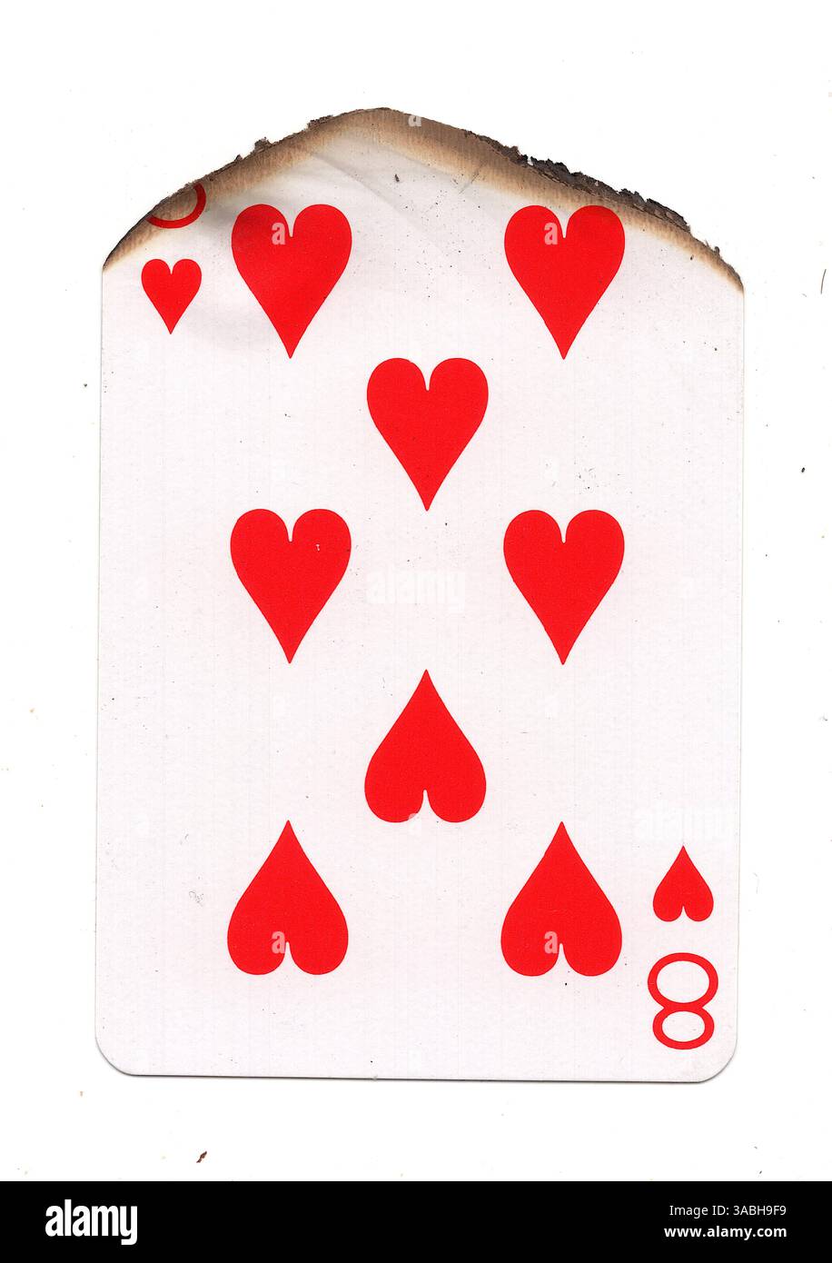 Eine teilweise verbrannte Spielkarte im Anzug der Herzen auf weißem Hintergrund. Stockfoto