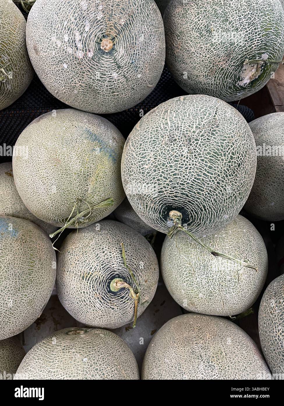Frische Melonen auf dem Obstmarkt - Smartphone-aufgenommenes Stockfoto