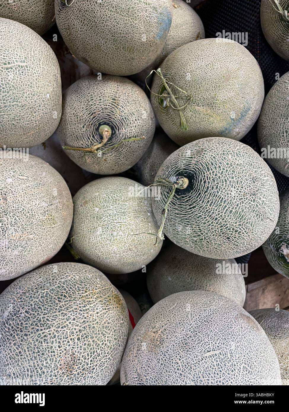 Frische Melonen auf dem Obstmarkt - Smartphone-aufgenommenes Stockfoto