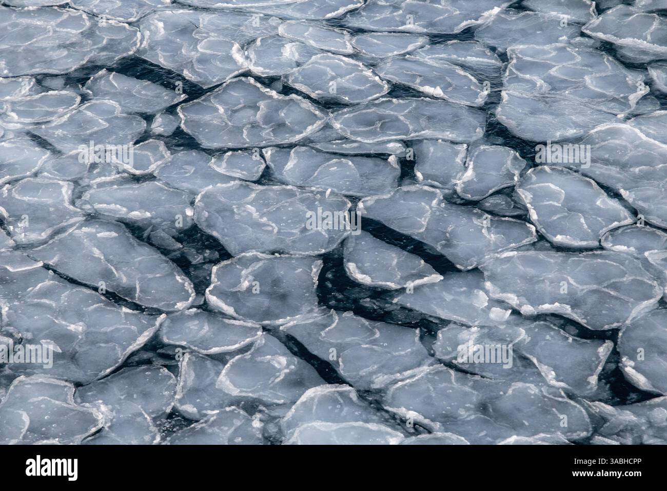 Pancake Ice neben dem Ross-Schelfeis im McMurdo Sound südlich von Ross Island, Antarktis 1 UHR MORGENS Stockfoto Pancake Ice neben dem Ross-Schelfeis im McMurdo Sound südlich von Ross Island, Antarktis 1 UHR MORGENS Stockfoto