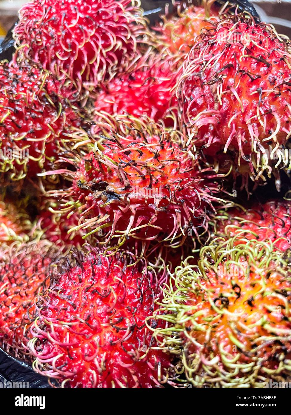 Frische und reife Rambutan süße tropische Früchte - Smartphone-aufgenommenes Stockfoto