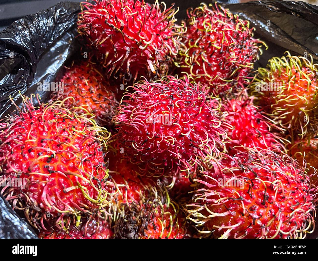Frische und reife Rambutan süße tropische Früchte - Smartphone-aufgenommenes Stockfoto
