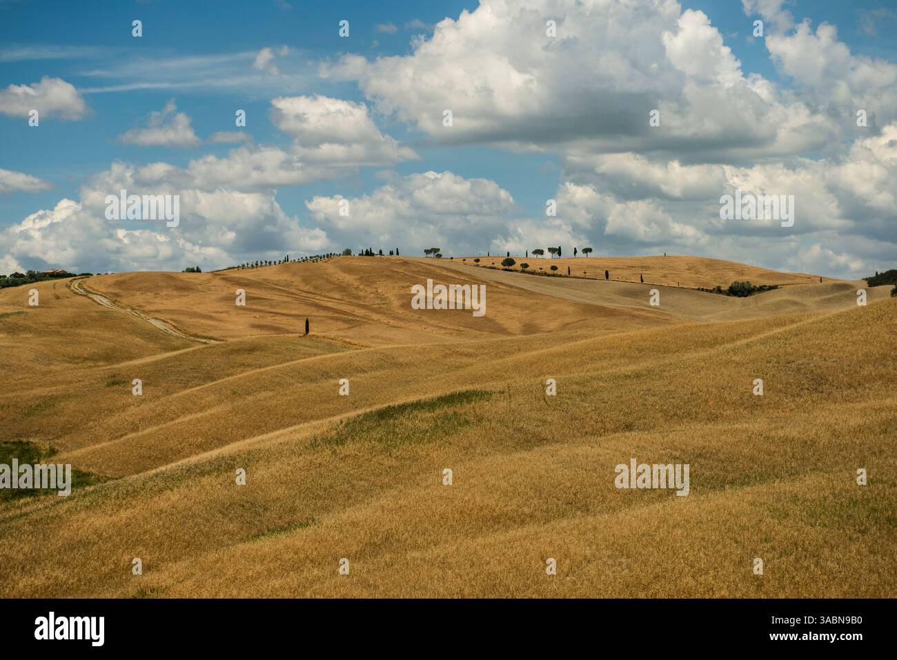 Toskanische Hügel Wolken Pappeln sanfte Hügel toskanischer Sommer Stockfoto